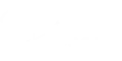 Panetti.dk Logo