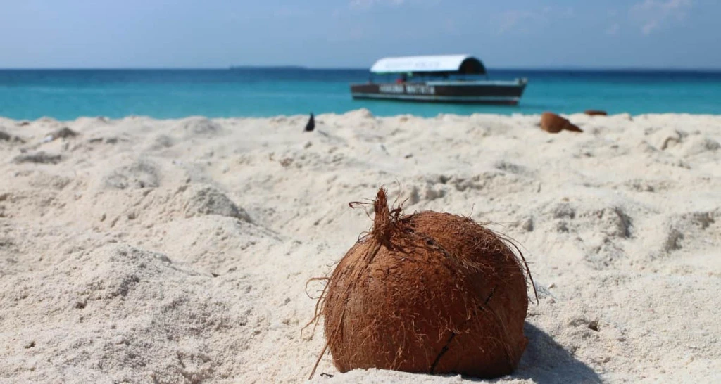 Det skal du spise på restauranter på Zanzibar