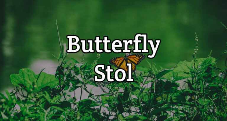 Butterfly Stol