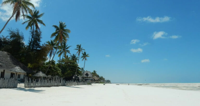 Nungwi Beach – drømmeferie i Det Indiske Ocean